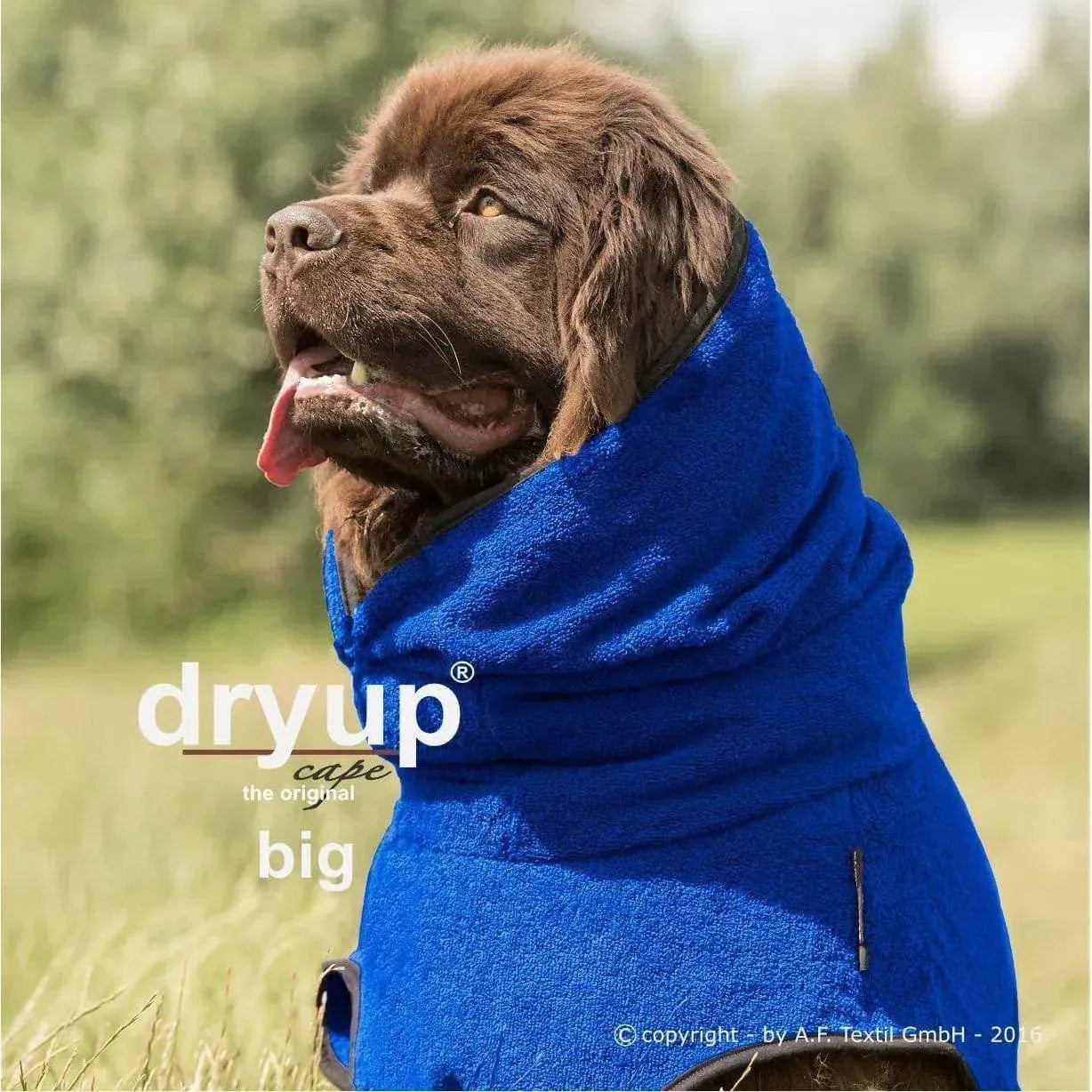 Action Factory - XXL+ / blueberry - Dryup Cape Maxi & GIGA - Marigin AG Onlineshop für Tierbedarf