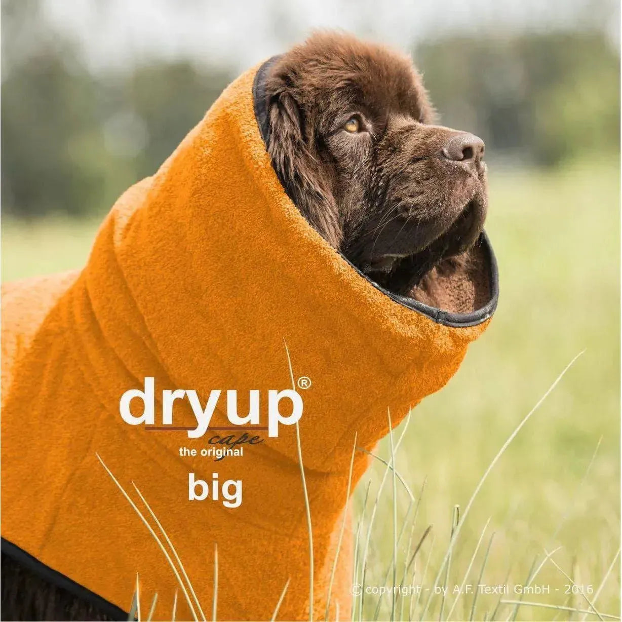 Action Factory - XXL+ / clementine - Dryup Cape Maxi & GIGA - Marigin AG Onlineshop für Tierbedarf