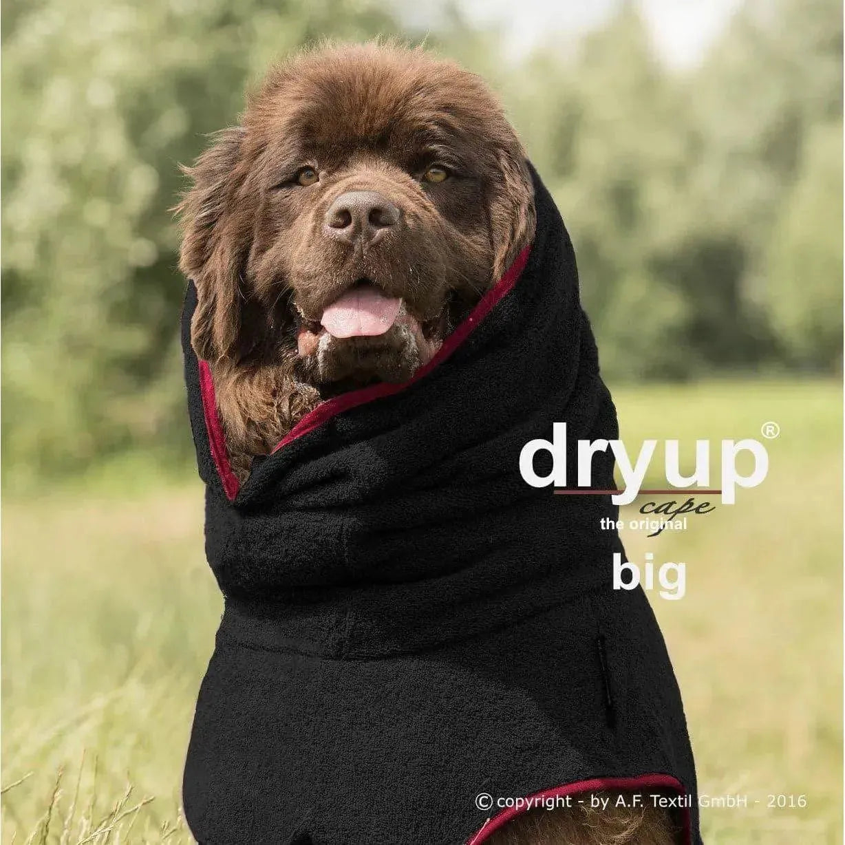 Action Factory - XXL+ / schwarz - Dryup Cape Maxi & GIGA - Marigin AG Onlineshop für Tierbedarf