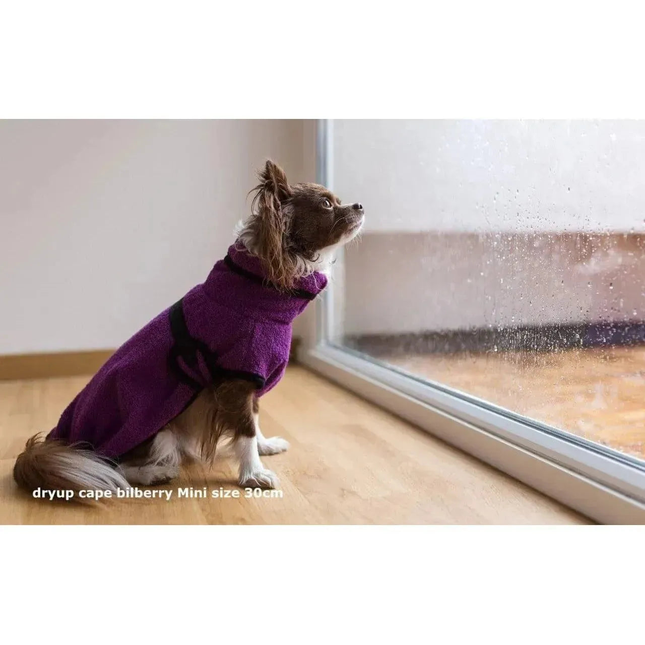 Dryup Cape MINI - Hundebademantel - Action Factory - Marigin AG Onlineshop für Tierbedarf Dryup Cape MINI - Hundebademantel - 30cm / Bilberry Mantel