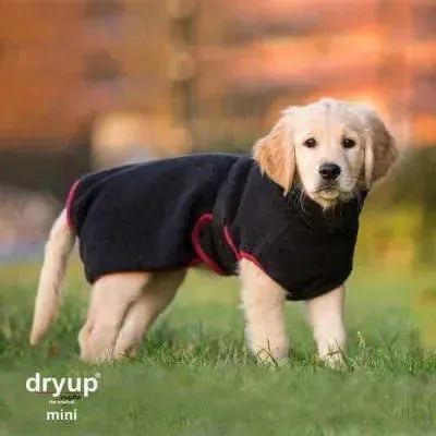 Dryup Cape MINI - Hundebademantel - Action Factory - Marigin AG Onlineshop für Tierbedarf Dryup Cape MINI - Hundebademantel - 30cm / Black Mantel