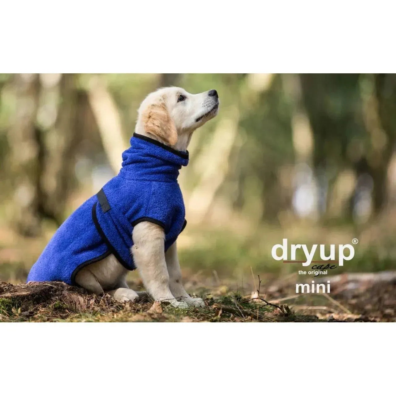 Dryup Cape MINI - Hundebademantel - Action Factory - Marigin AG Onlineshop für Tierbedarf Dryup Cape MINI - Hundebademantel - 30cm / Blueberry Mantel