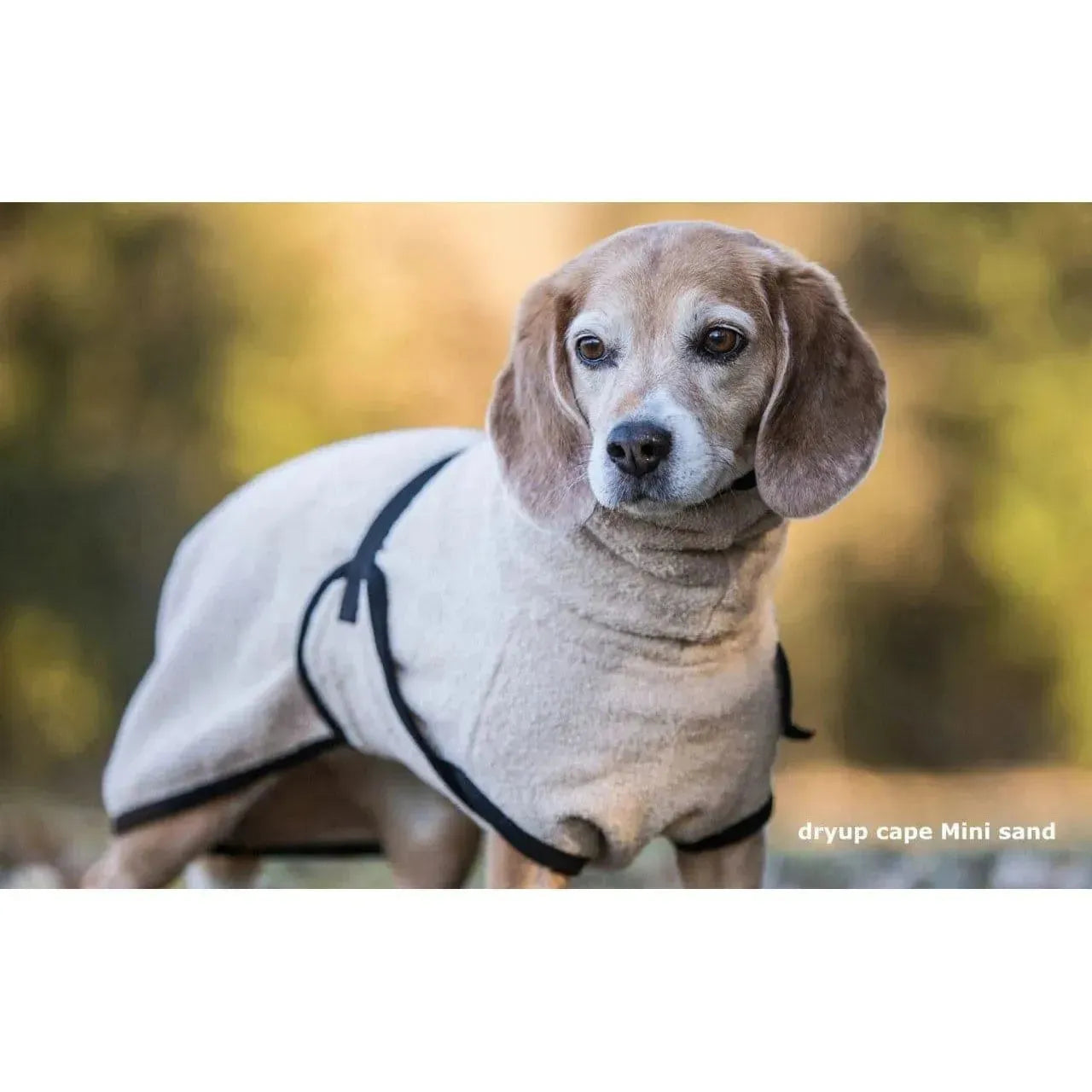 Dryup Cape MINI - Hundebademantel - Action Factory - Marigin AG Onlineshop für Tierbedarf Dryup Cape MINI - Hundebademantel - 30cm / Sand Mantel
