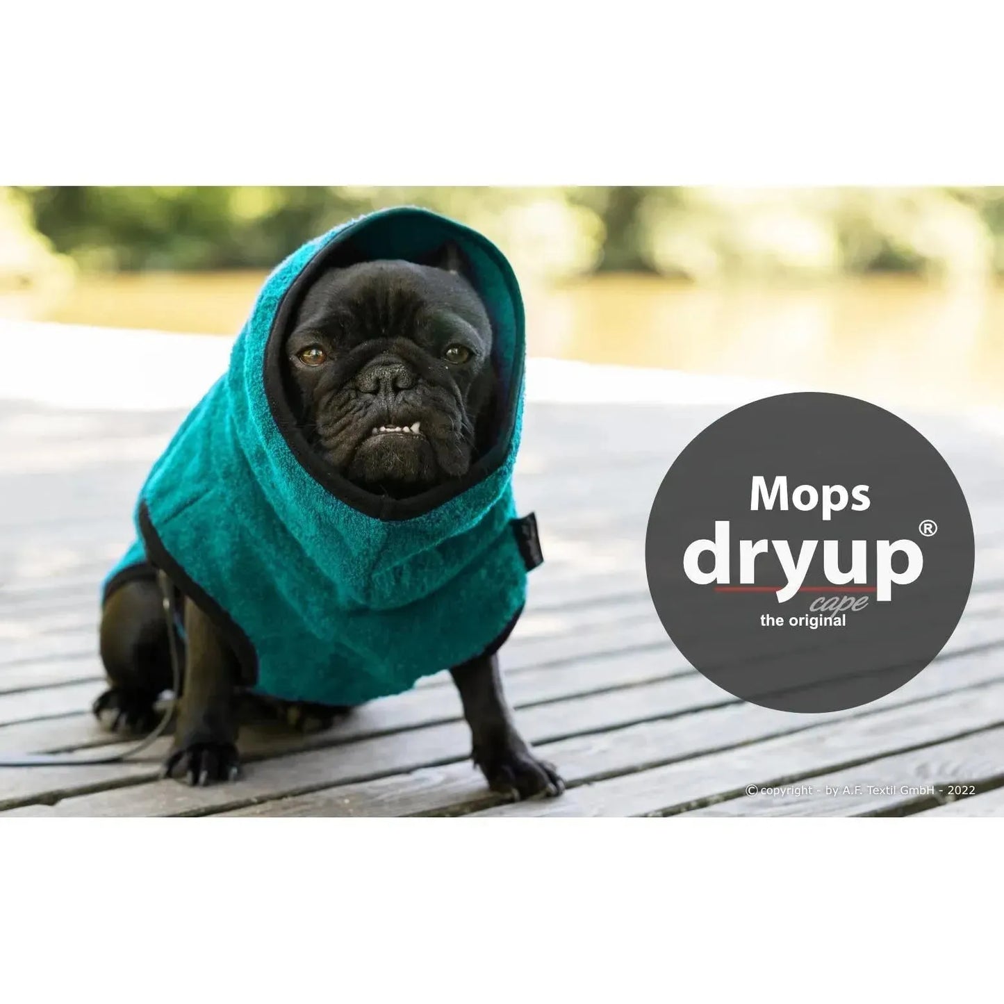 Action Factory - 30cm / petrol - Dryup Cape Mops & co. - Marigin AG Onlineshop für Tierbedarf