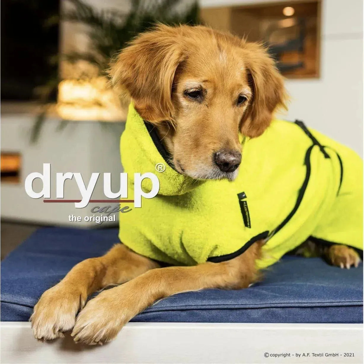 Dryup Cape ORIGINAL Standard - Hundebademantel - Action Factory - Marigin AG Onlineshop für Tierbedarf Dryup Cape ORIGINAL Standard - Hundebademantel - XS / 48cm / Lime Mantel