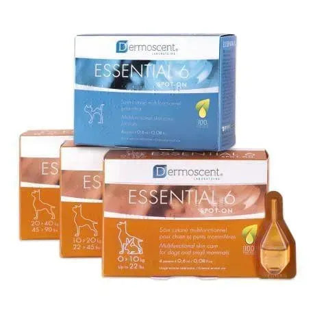 Essential 6 Spot On DOG - Dermoscent - Marigin AG Onlineshop für Tierbedarf Essential 6 Spot On DOG - bis 10kg / 4 Stück Pflegeprodukte