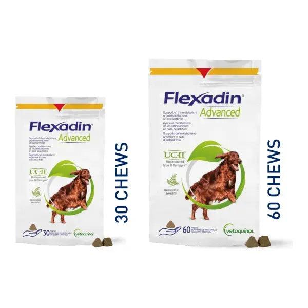 Flexadin Advanced Hund - Vétoquinol - Marigin AG Onlineshop für Tierbedarf Flexadin Advanced Hund - 30 Stück Ergänzungsfuttermittel