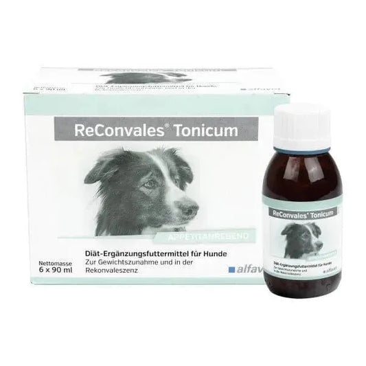ReConvales Tonicum Hund - Alfavet - Marigin AG Onlineshop für Tierbedarf ReConvales Tonicum Hund - Default Title Ergänzungsfuttermittel