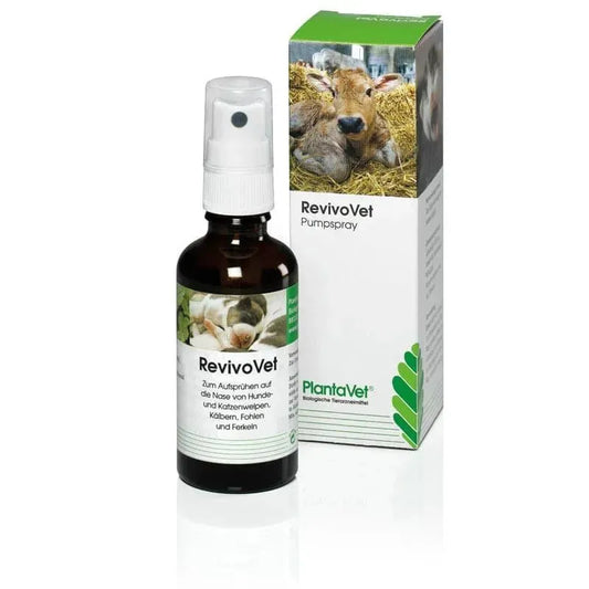 RevivoVet - PlantaVet - Marigin AG Onlineshop für Tierbedarf RevivoVet - Default Title Ergänzungsfuttermittel