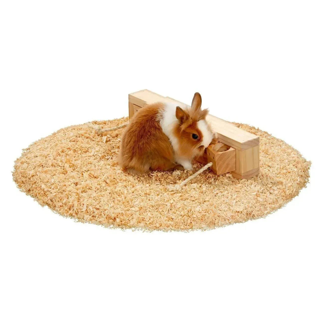 Rody Brain Train Cube - CZ Karlie - Marigin AG Onlineshop für Tierbedarf Rody Brain Train Cube - Default Title Beschäftigung