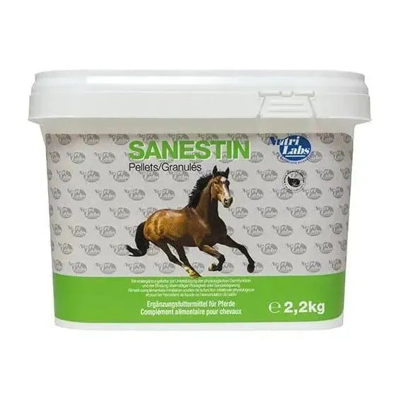 Sanestin - Nutrilabs - Marigin AG Onlineshop für Tierbedarf Sanestin - Default Title Ergänzungsfuttermittel