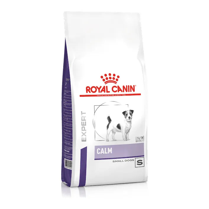 Calm small Dogs
