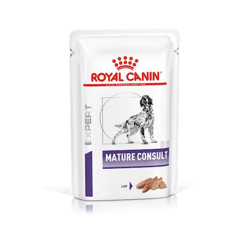 MATURE CONSULT DOGS Mousse
