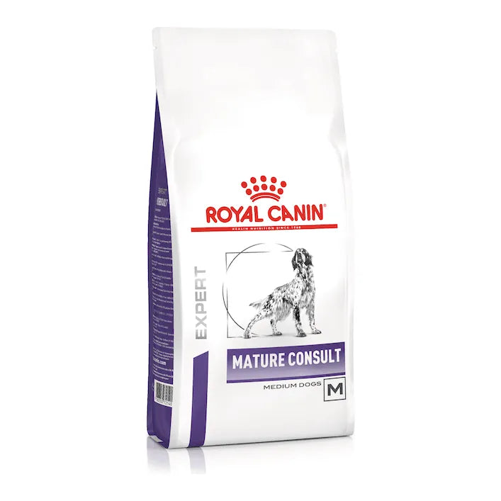 MATURE CONSULT MEDIUM DOGS