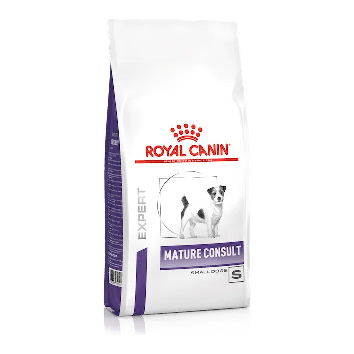 MATURE CONSULT SMALL DOGS