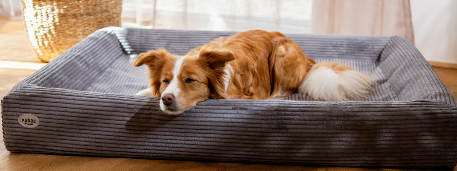 Sabro Hundebetten