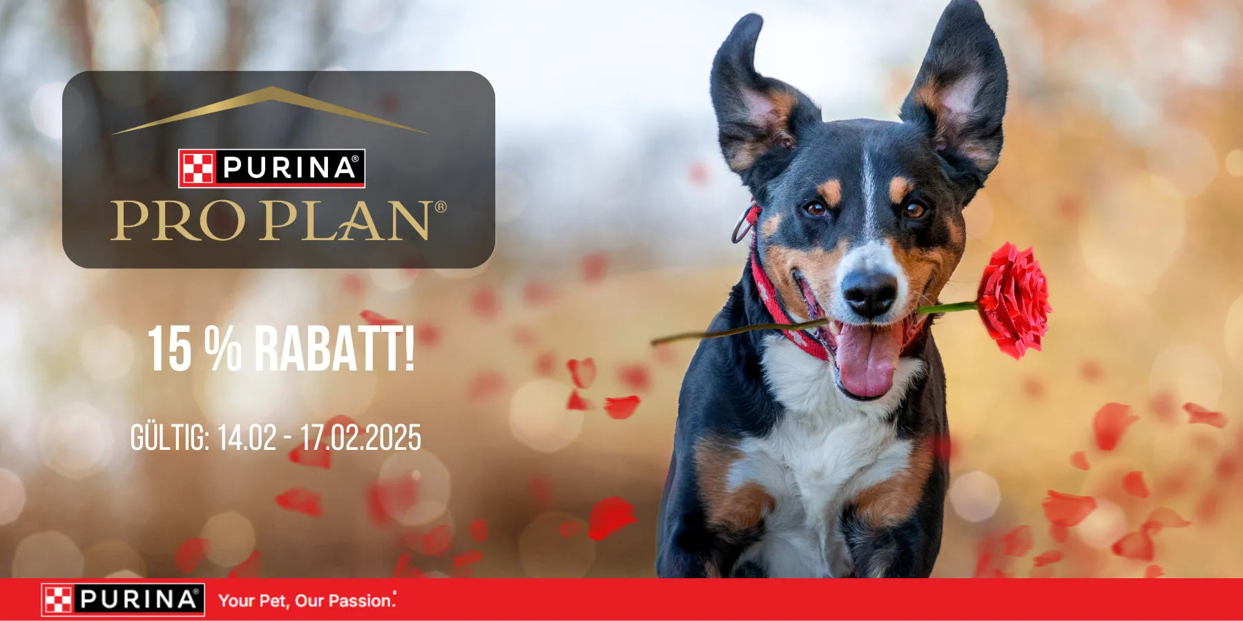 Purina Valentinstag 2025