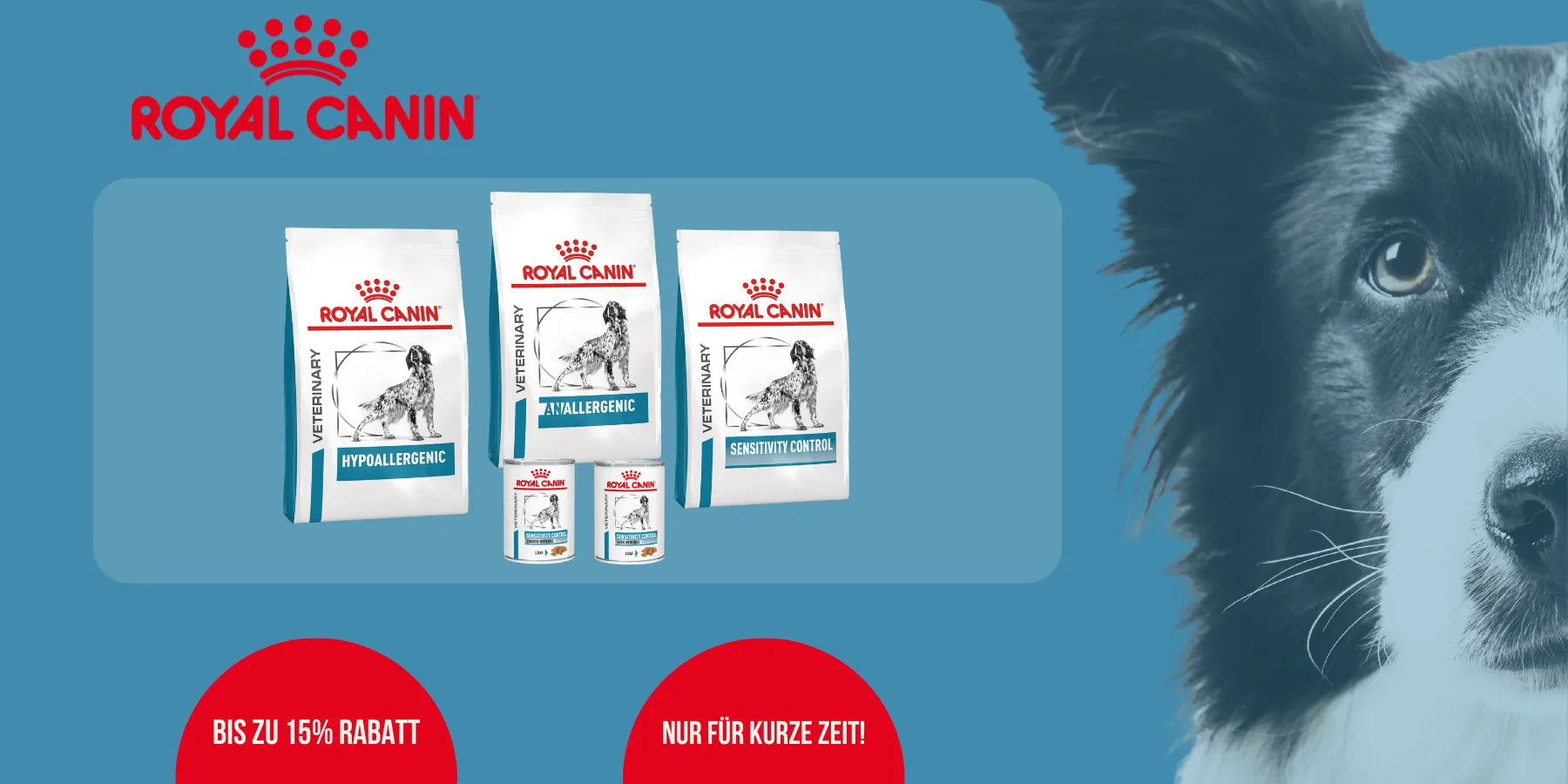 Royal Canin Dermatology 2025
