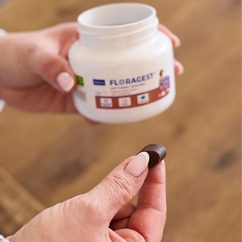 Virbac Floragest für Hunde