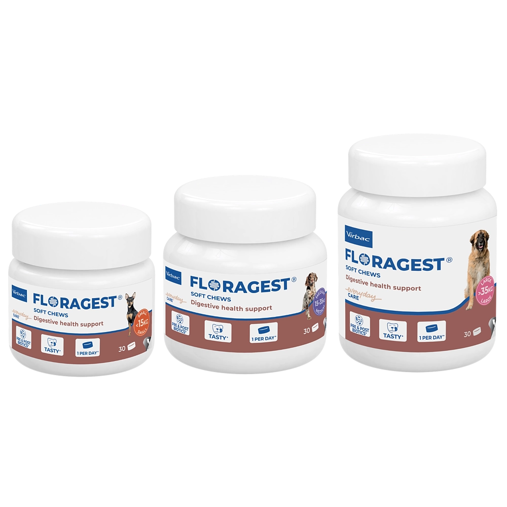 Virbac Floragest für Hunde