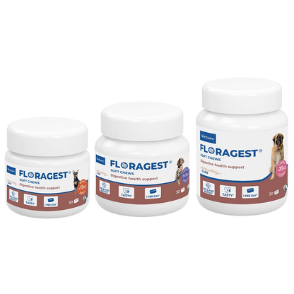 Virbac Floragest für Hunde