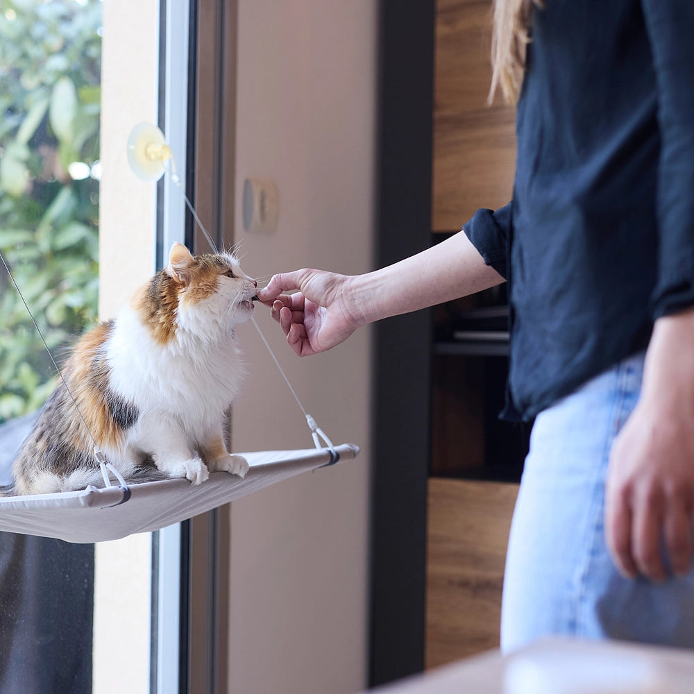 Virbac Floragest für Katzen