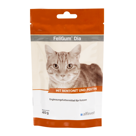 Alfavet FeliGum Dia - Katze