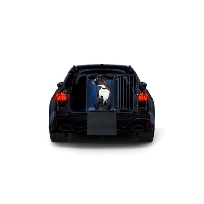 4pets ScratchGuard PRO Auto