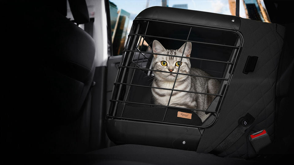 4pets Caree Katze