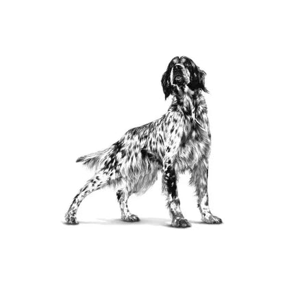 Royal Canin Gastrointestinal Low Fat + Hypoallergenic - Hund