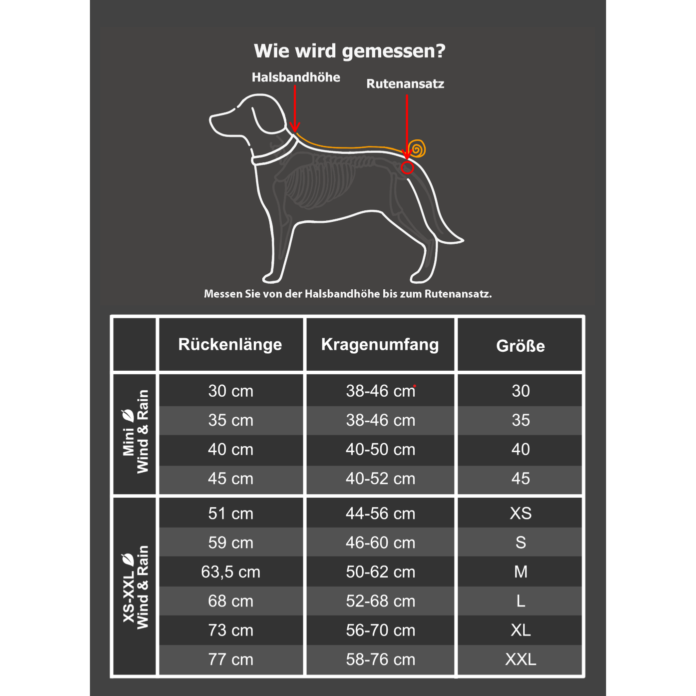 Active Cape Elastic Light STANDARD