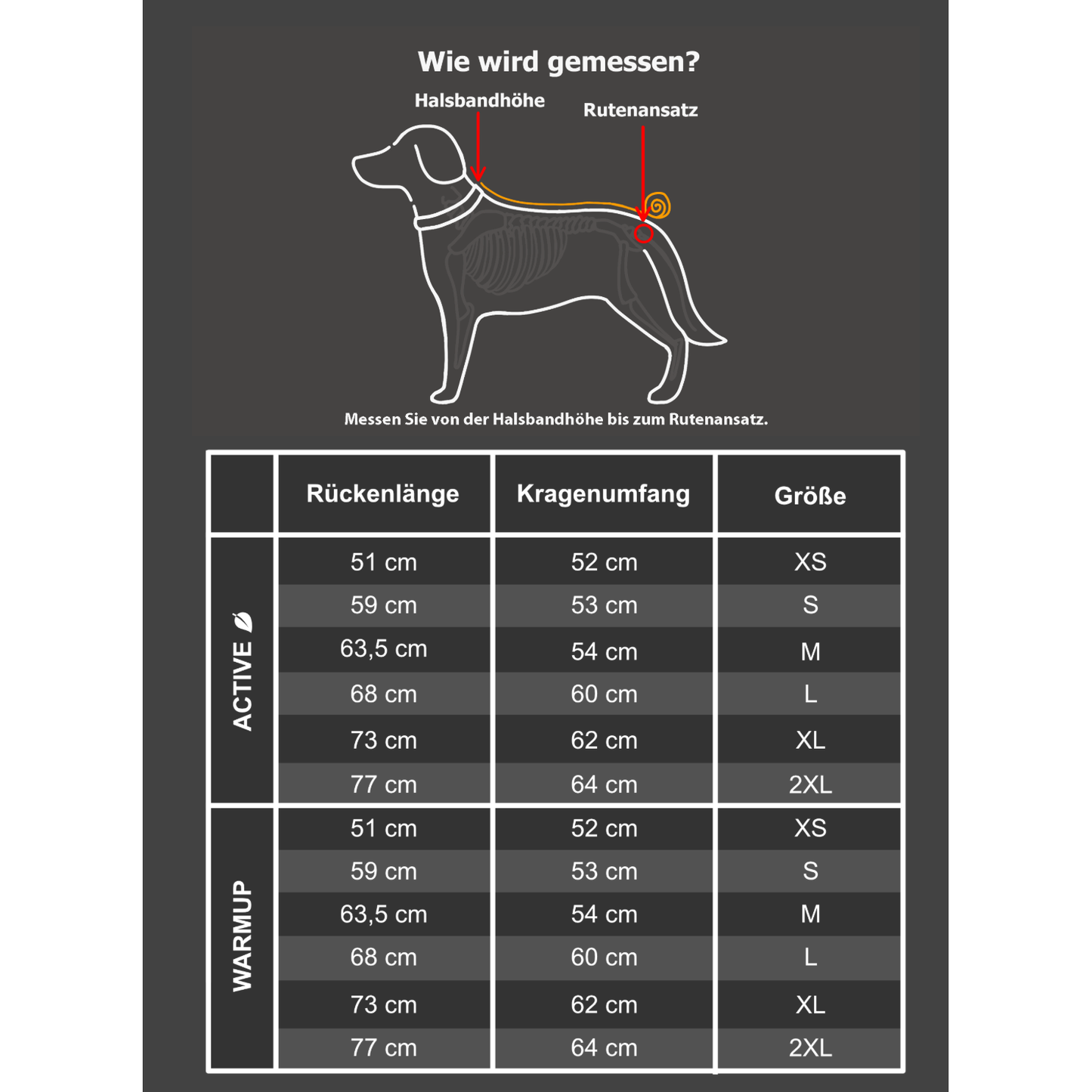 Active Cape Elastic Light Windhund