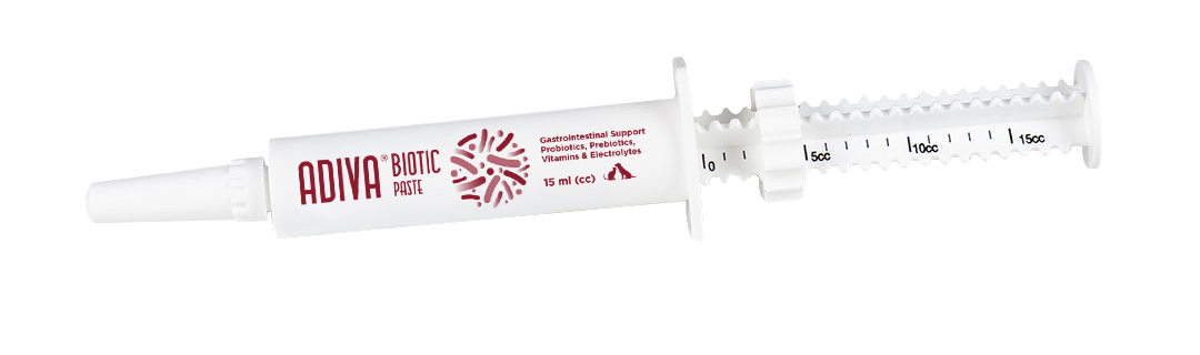 VetNova ADIVA Biotic Paste für Hunde und Katzen