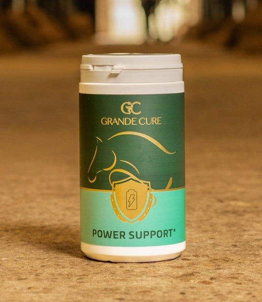 Grande Cure Power Support - Pferd