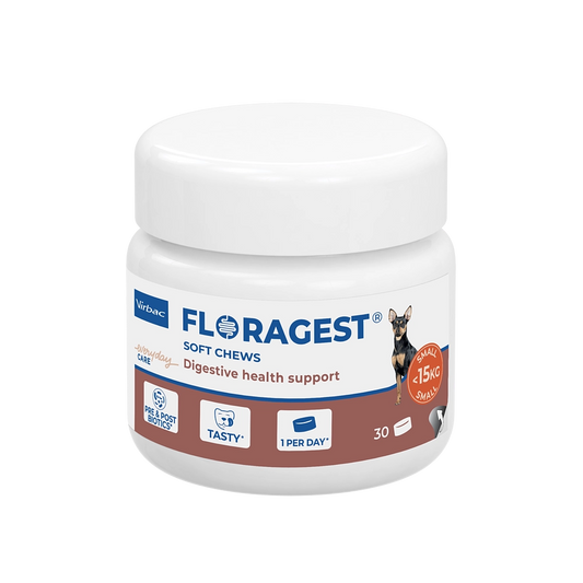 Virbac Floragest für Hunde