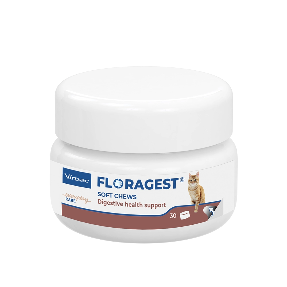 Virbac Floragest für Katzen