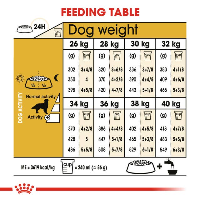 Royal Canin Golden Retriever Adult - Hund