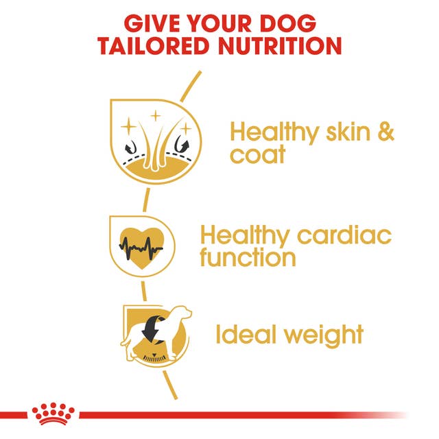 Royal Canin Golden Retriever Adult - Hund