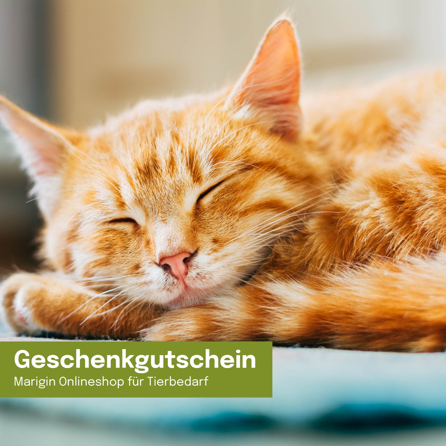Geschenkgutschein