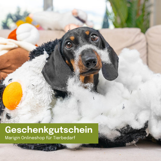 Geschenkgutschein