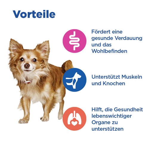 Hill's Vet Essentials Multi-Benefit Adult Small & Mini Hundefutter mit Lamm und Reis Vorteile