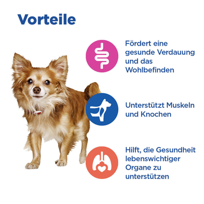 Hill's Vet Essentials Multi-Benefit Adult Small & Mini Hundefutter mit Lamm und Reis Vorteile