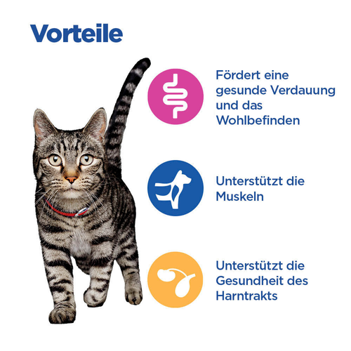 Hill's Multi-Benefit Adult Vorteile