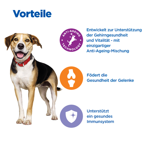 Hill's Multi-Benefit + Senior Health Mature Adult 7+ Medium & Large Breed - Hund Vorteile