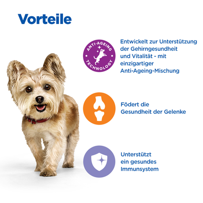 Hill's Multi-Benefit + Senior Health Mature Adult 7+ Small & Mini - Hund Vorteile