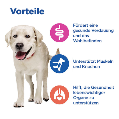 Hill's Vet Essentials Multi-Benefit Adult Large Breed Vorteile