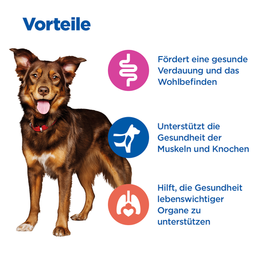 Hill's Vet Essentials Multi-Benefit Adult Nassfutter Vorteile
