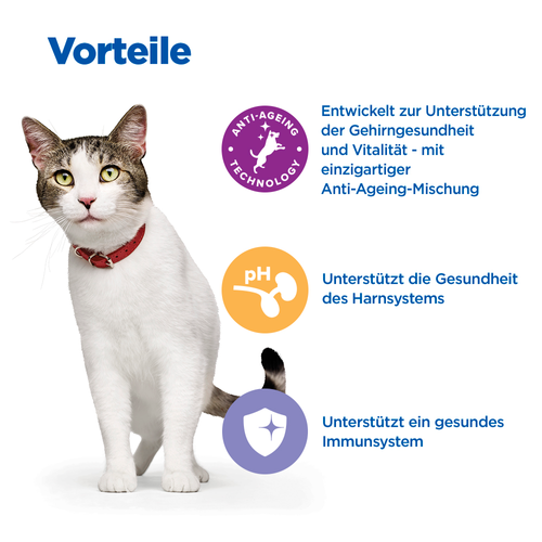 Hill's Vet Essentials Multi-Benefit + Senior Health Mature Adult 7+ Katzenfutter mit Huhn Vorteile