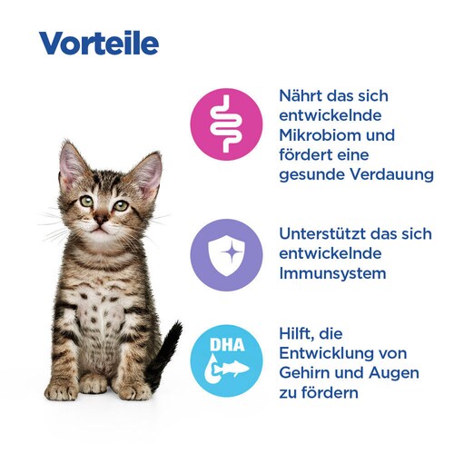 Hill's Multi-Benefit Kitten Vorteile