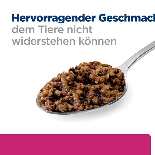 Hill's Prescription Diet Gastrointestinal Biome Nassfutter für Hunde Geschmack